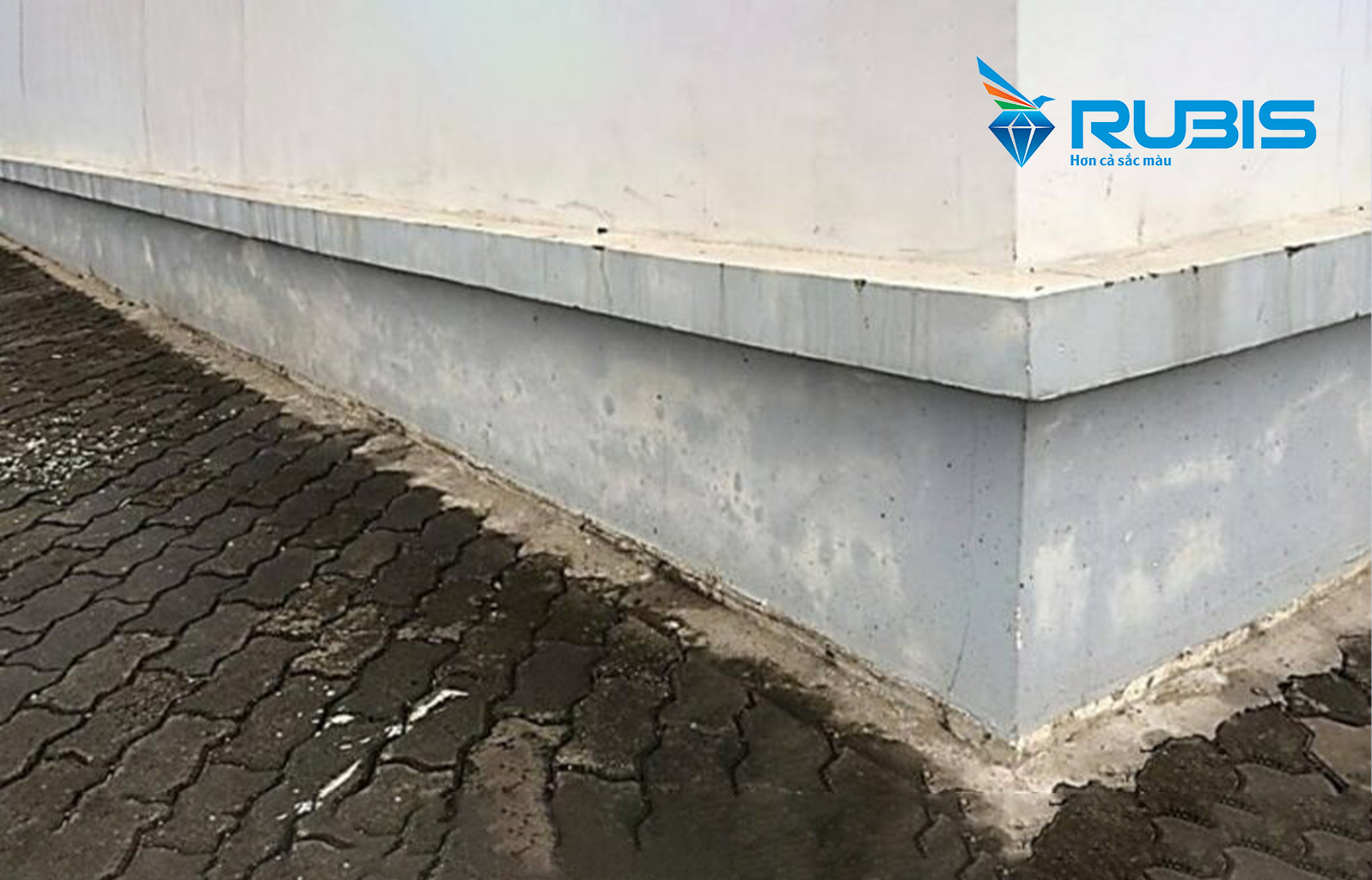 Sự Cố Sơn Bị Kiềm Hóa