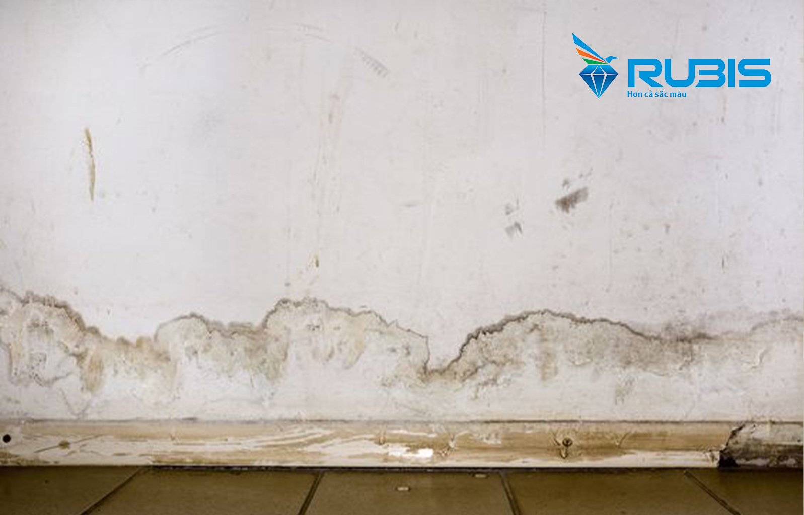 Sự Cố Sơn Bị Mốc