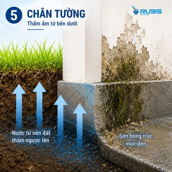 Chân tường bị thấm ngược do nước từ nền đất thẩm thấu lên, gây bong tróc sơn và ẩm mốc bề mặt tường.